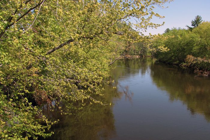 This is a serene view of the Saco River in Maine, on a lazy summer morning.