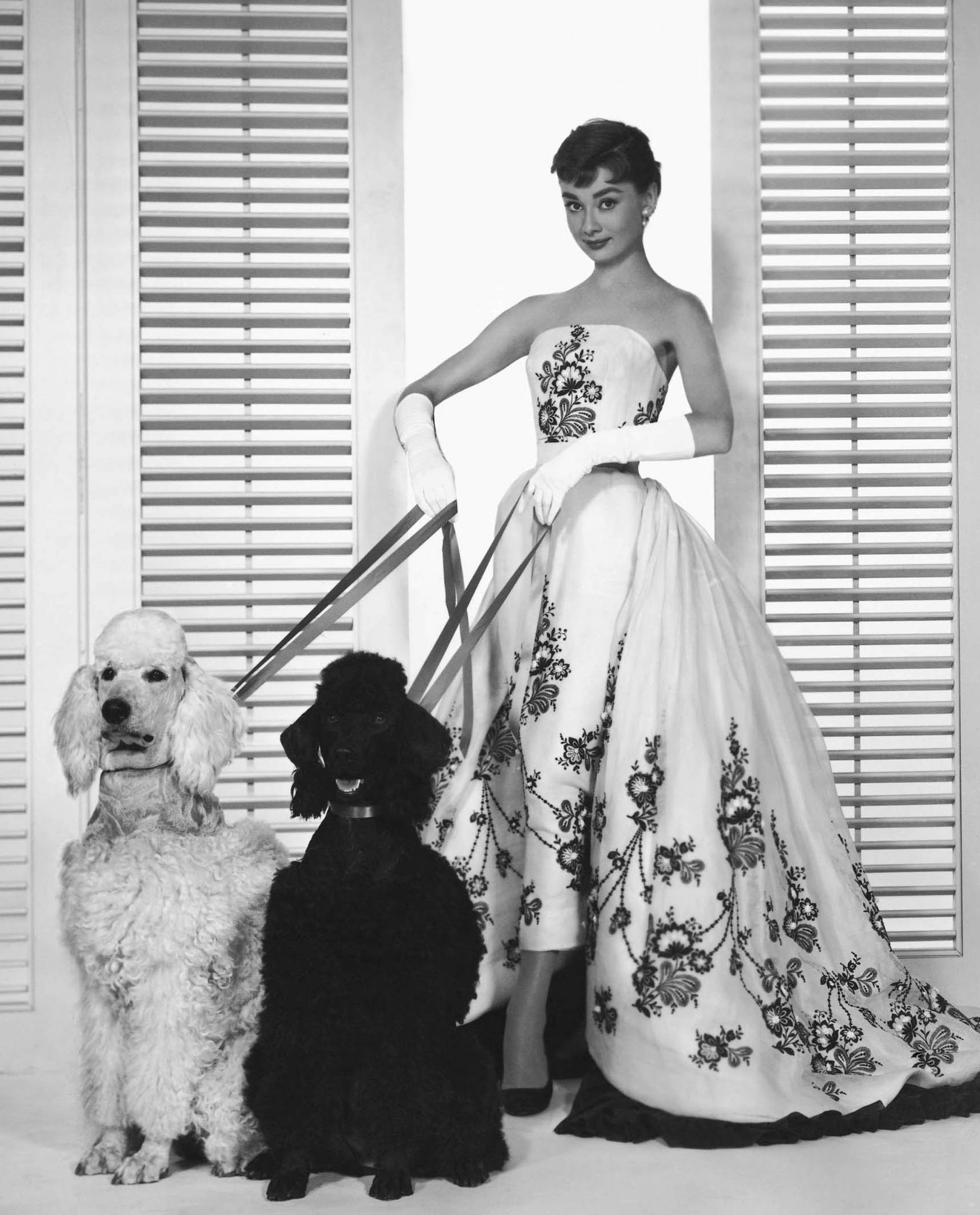 Sabrina - 1954