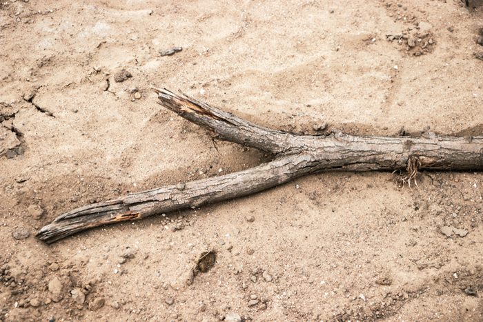 Stick on dry ground.