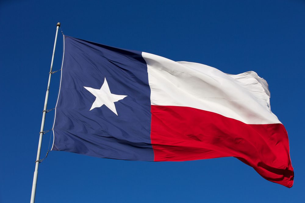 Rippled State Flag of Texas