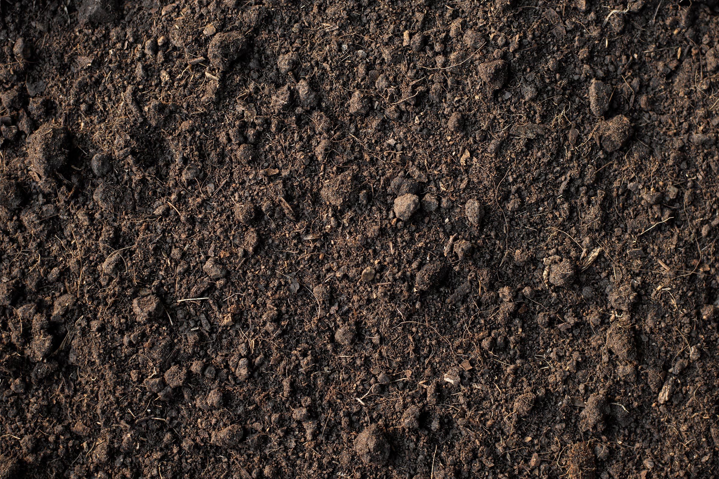 dirt soil