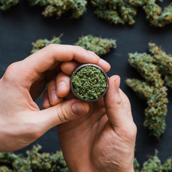 canabis marijuana 4/20 weed