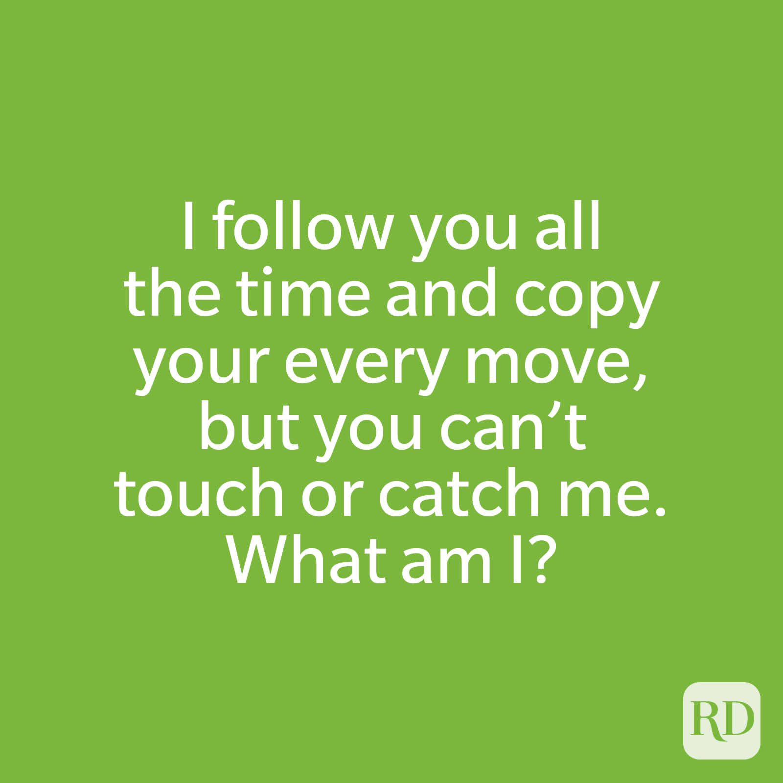 I follow you all the time and copy your every move, but you can’t touch or catch me. What am I?