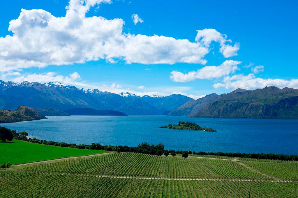 rippon winery, new zealand