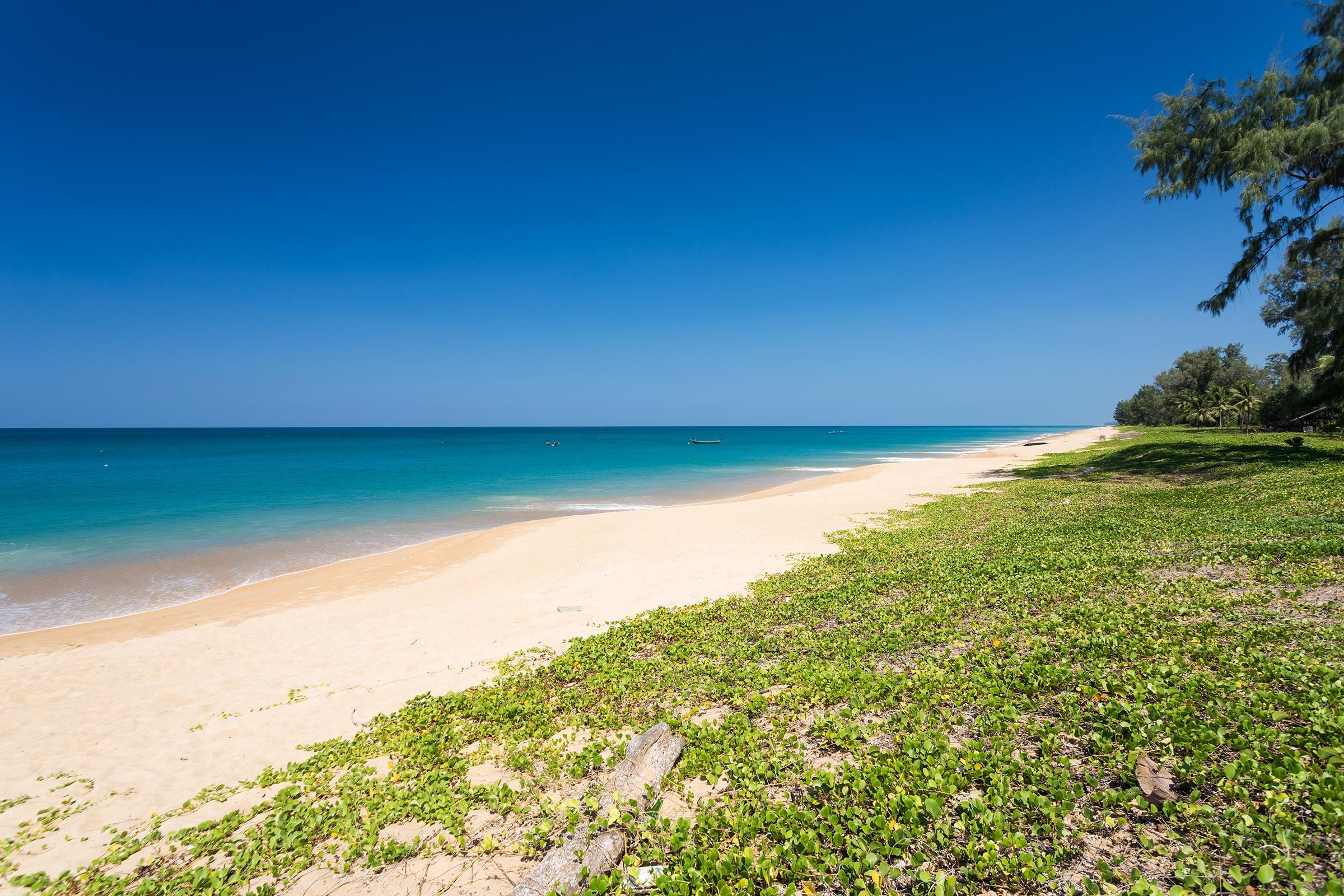 Amazing blue sky and calm Andaman sea on Mai Khao beach in Phuket Thailand