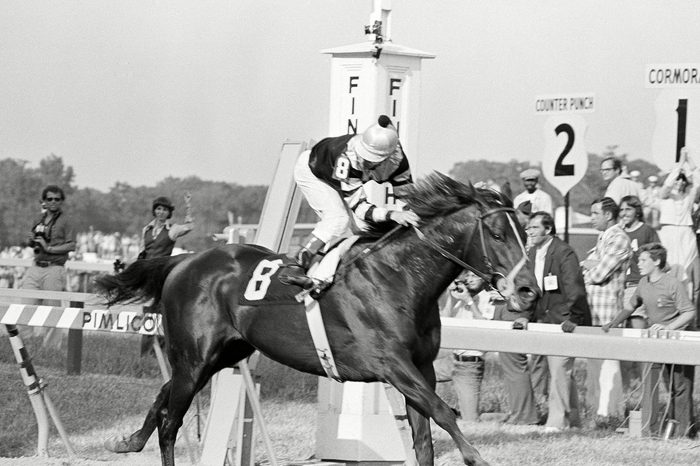 Preakness at Pimlico Race Track, Baltimore, USA