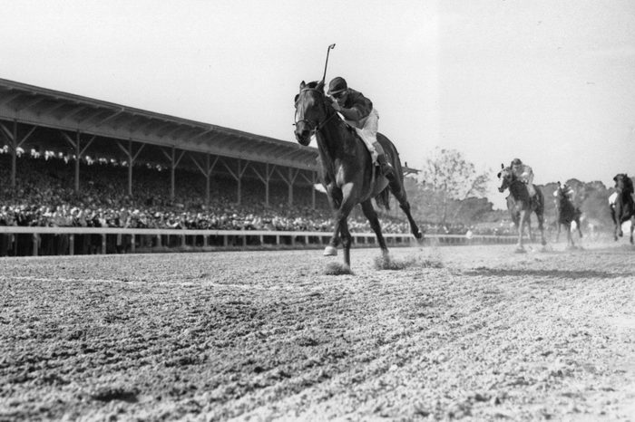 Triple Crown Winners Next Race Horse Racing, Elmont, USA