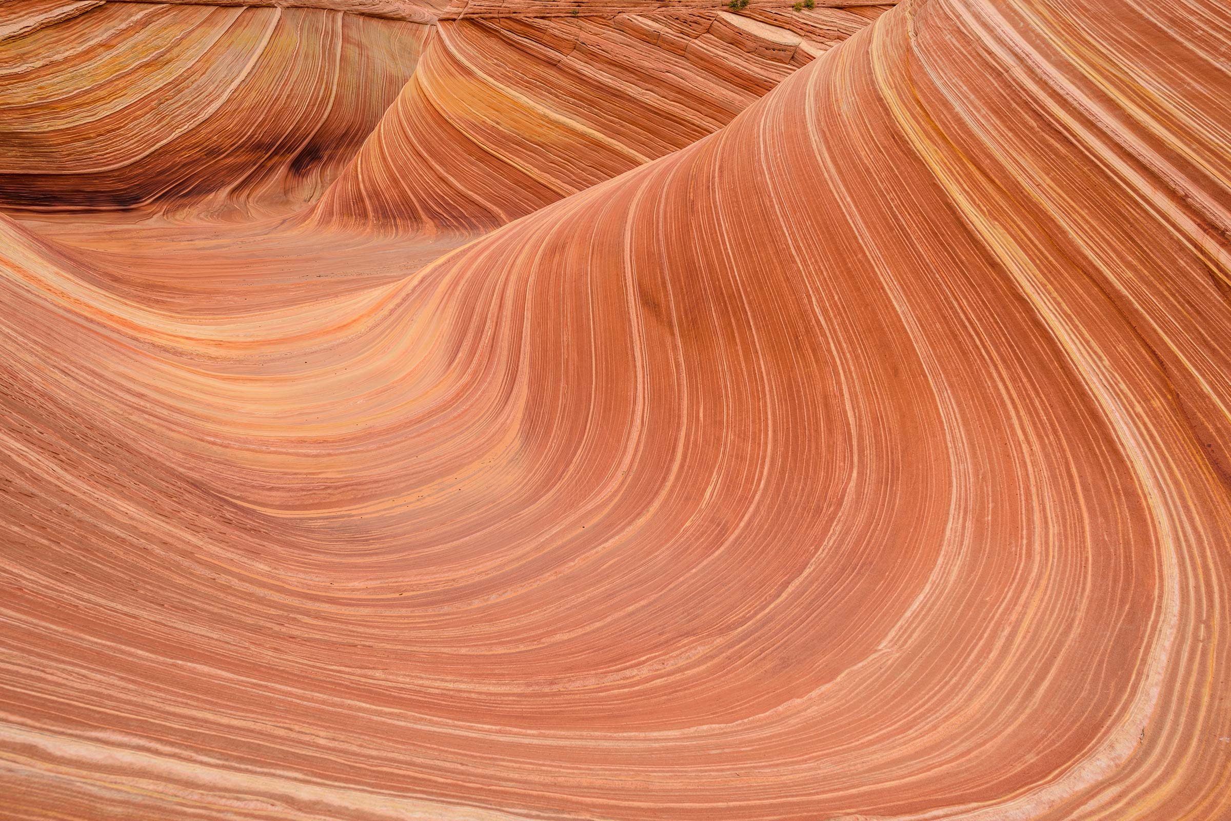 Surreal Natural Phenomena