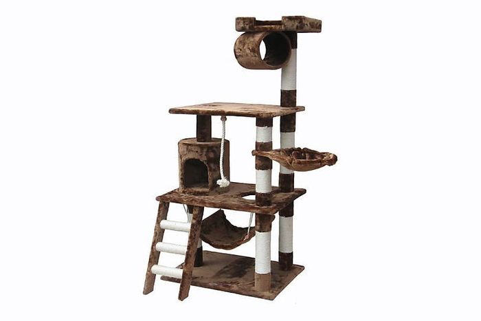 cat tree