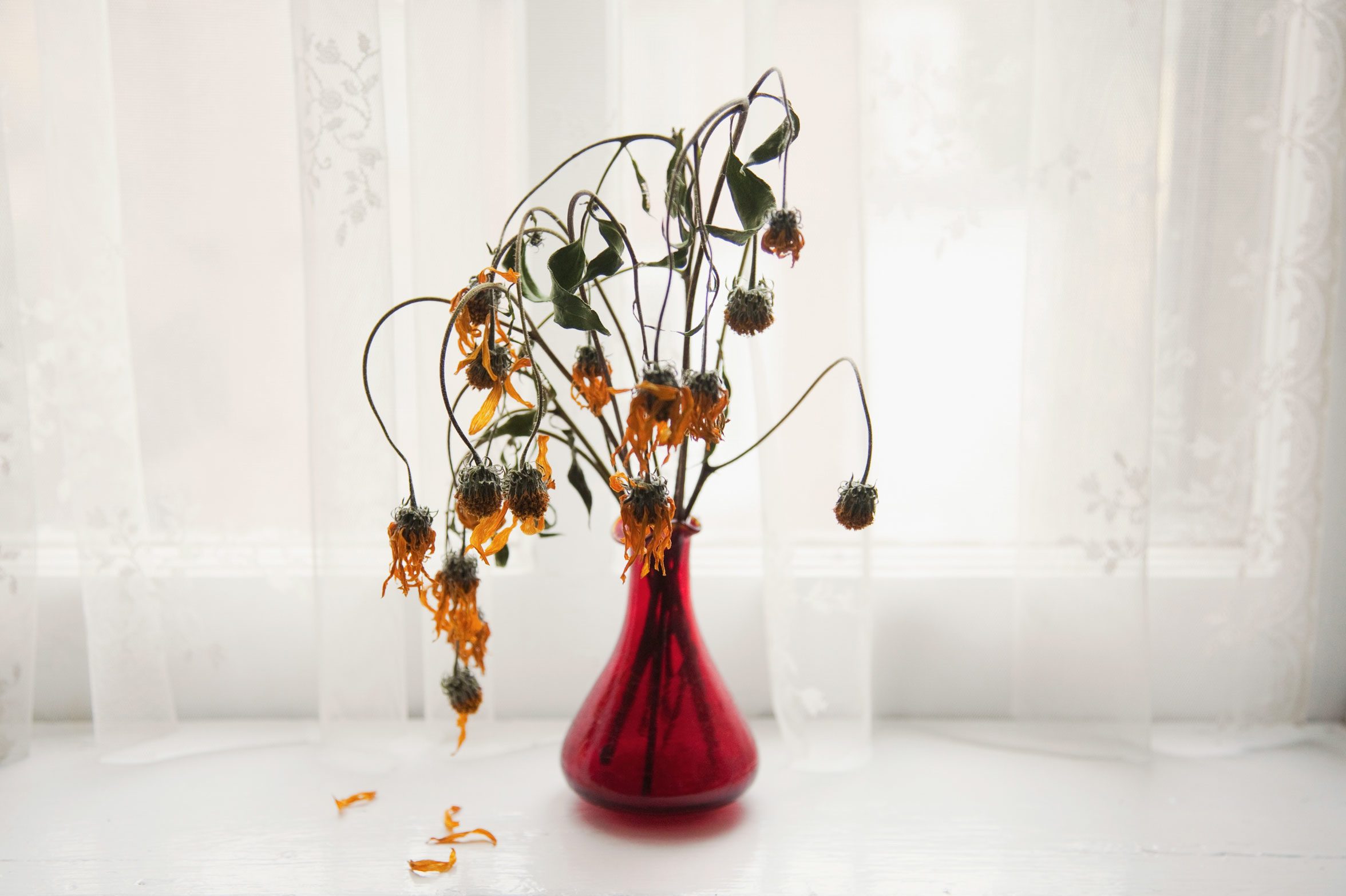 Bouquet of wilting flowers in windowsill