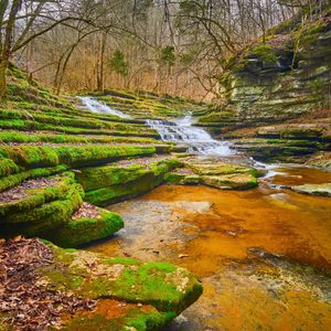 Raven Run Creek