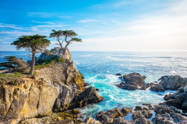 The Lone Cypress, seen from the 17 Mile Drive, in Pebble Beach, California.