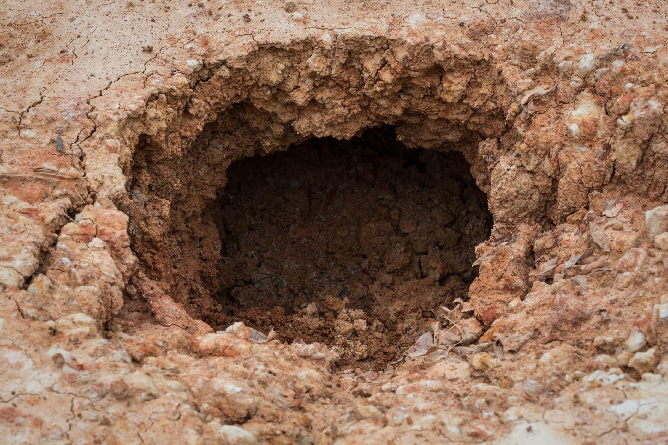 Cracked soil ground holes .