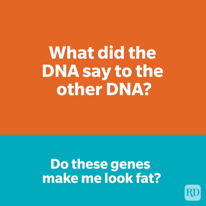 Dna Clever Jokes