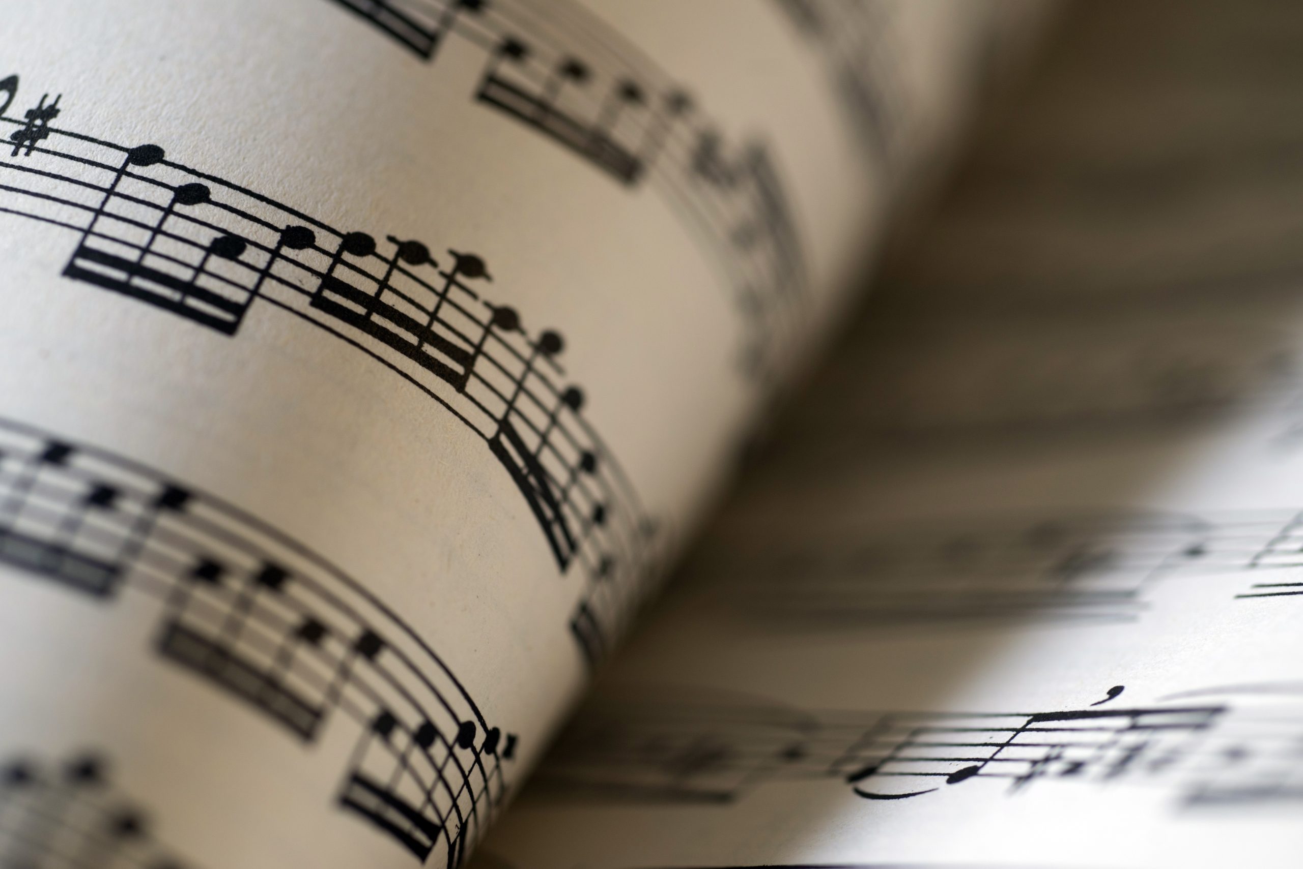 music sheet, macro photo