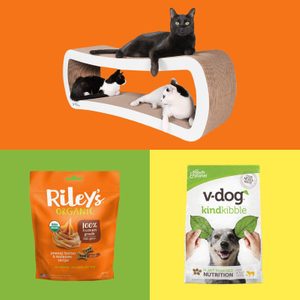 pet products amazon