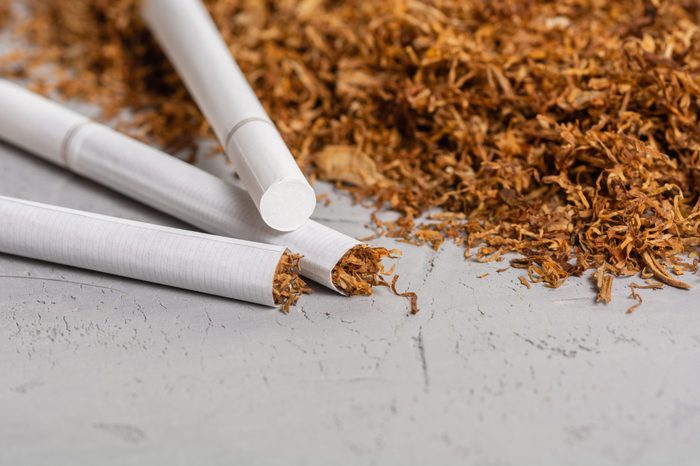 Macro View of the cigarettes and tobacco stack. The tobacco plant is part of the genus nicotiana and of the solanaceae (nightshade) family. Close up with copy paste space, in the gray background