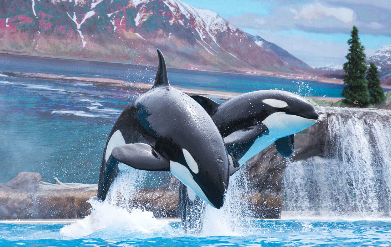 seaworld