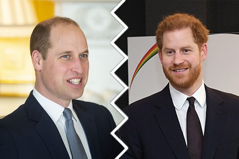 prince harry and prince william