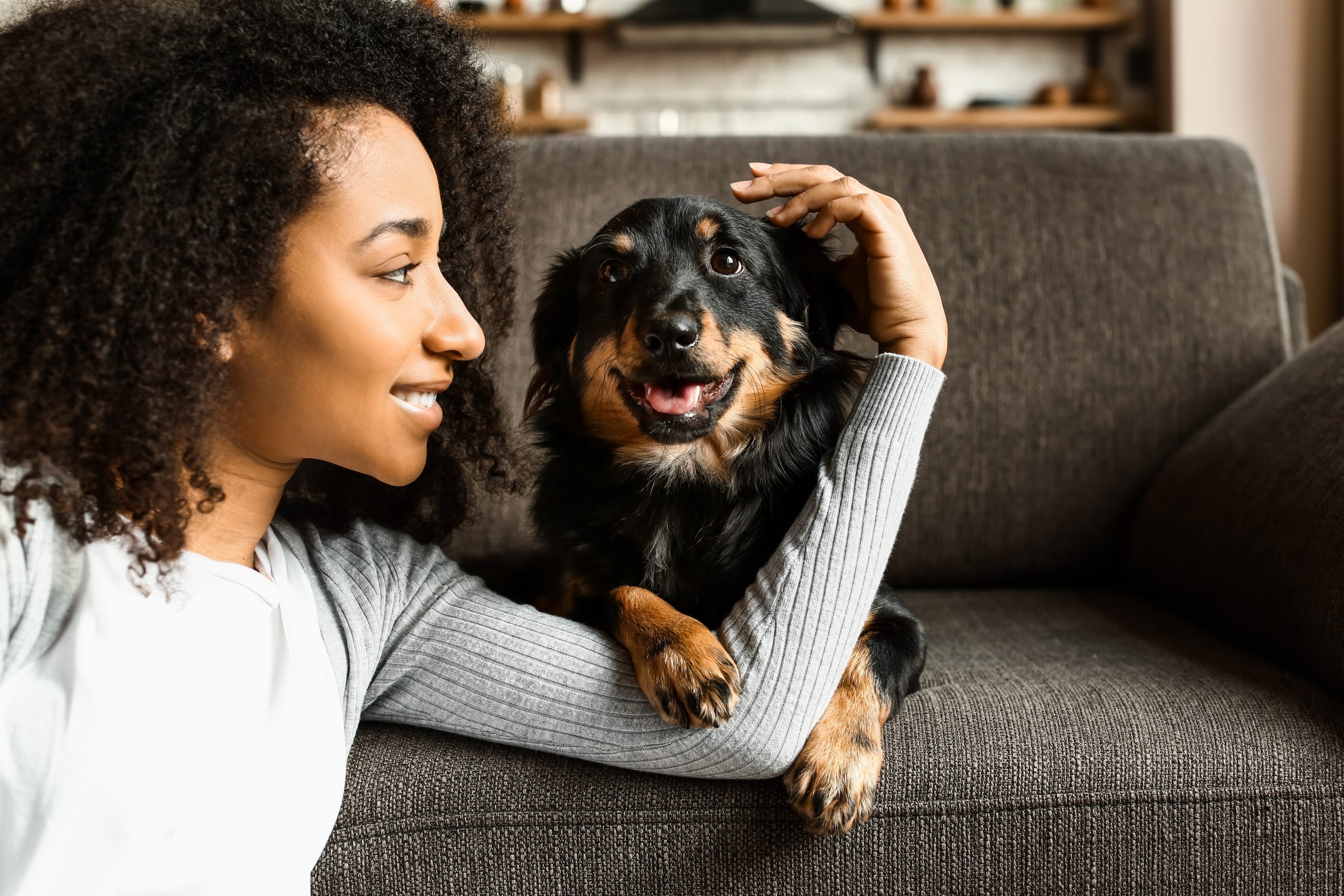 Beautiful African-American woman with cute dog at home