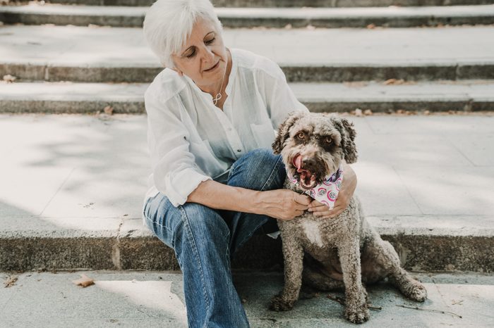 Sweet middle-aged woman playing with her nice brown spanish waterdog on a sunny summer day in a central park in madrid. Lifestyle.