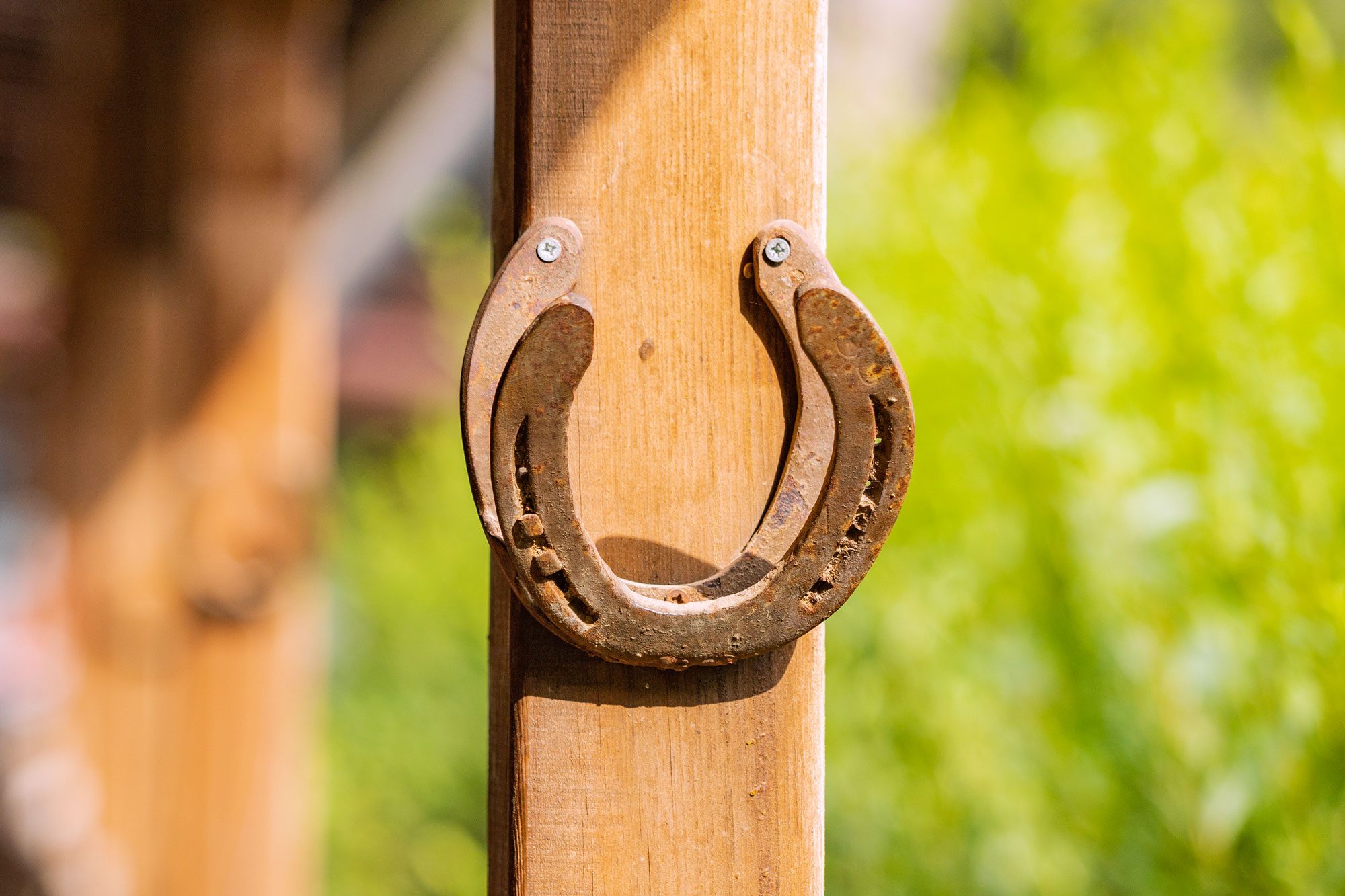 An Old Horseshoe In A Horse Riding Stable