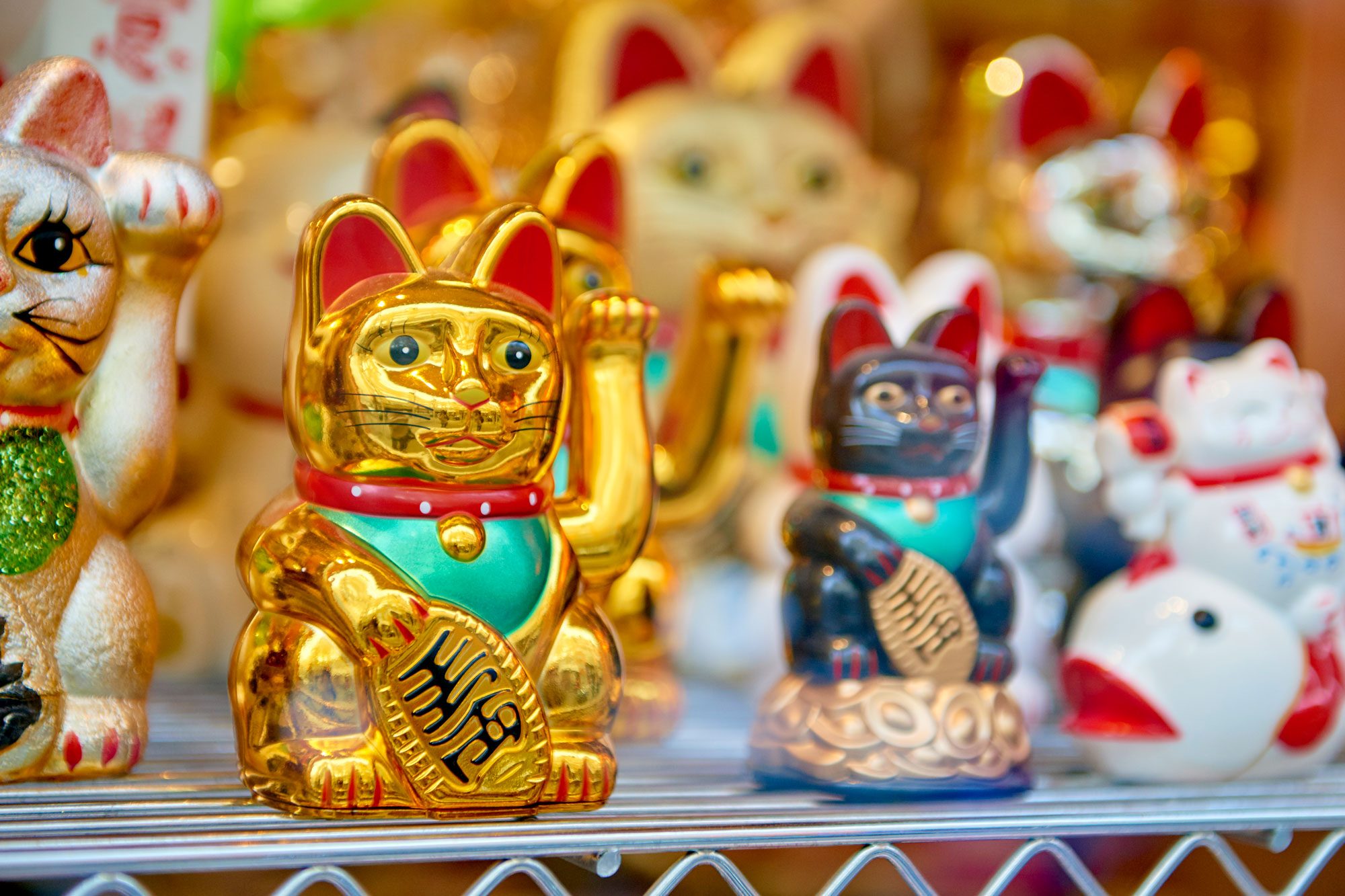 Japanese Lucky Cat