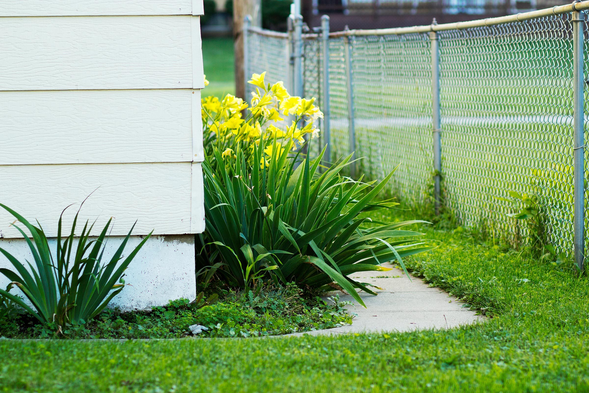 An ordinary backyard.