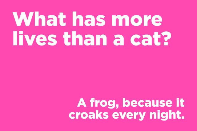 corny joke cat lives