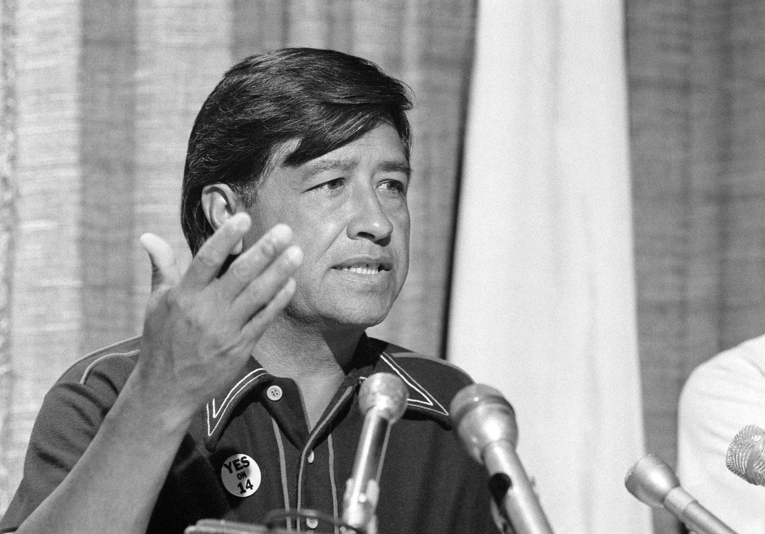 Cesar Chavez