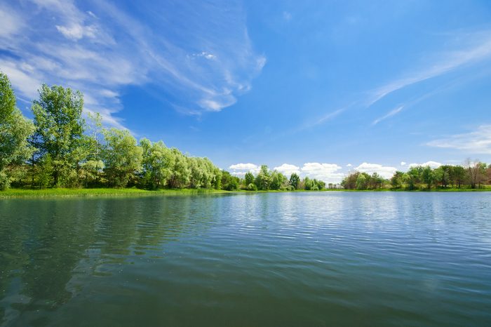 Forest lake under blue cloudy sky