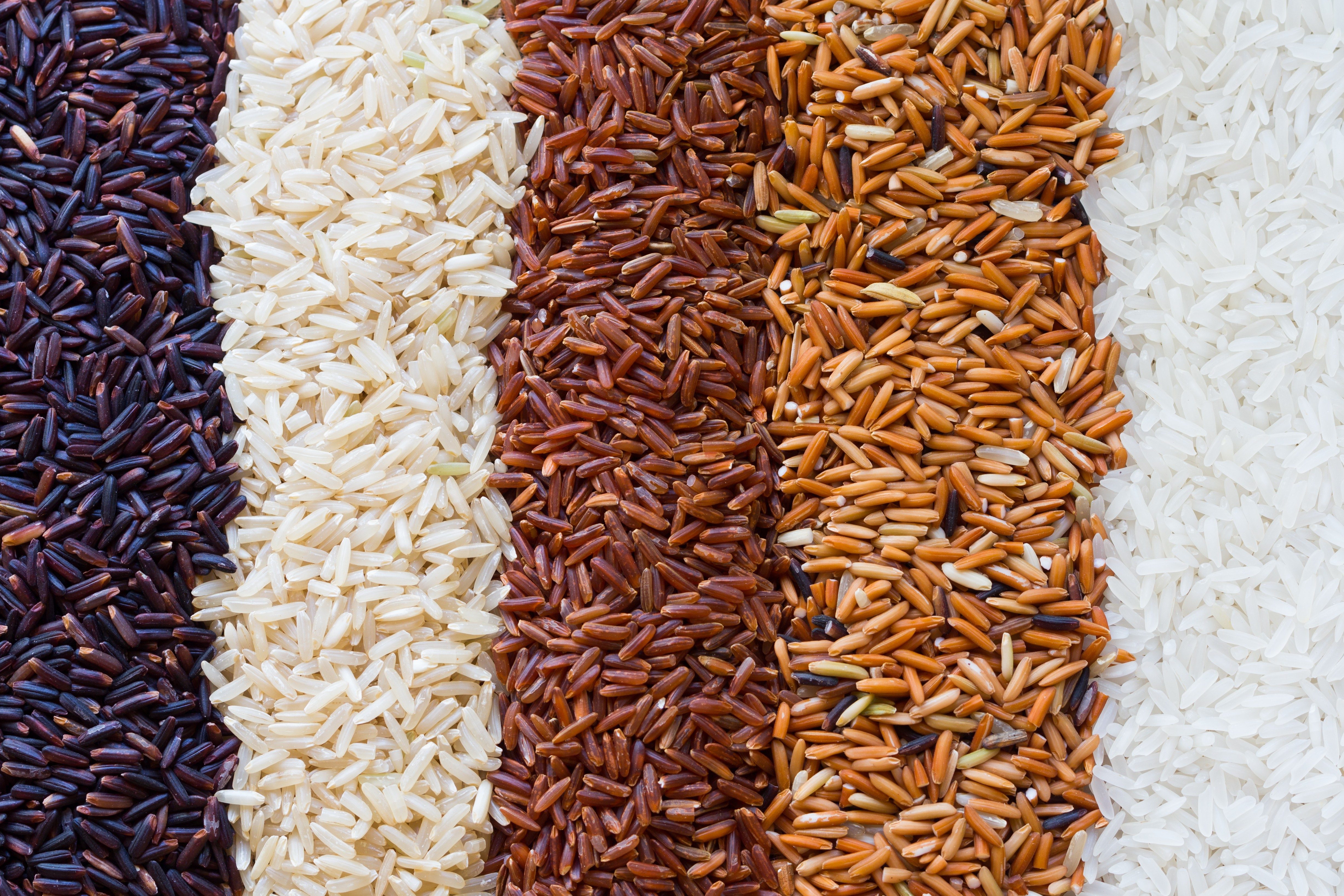 Organic rice, Mixed rice and texture for background