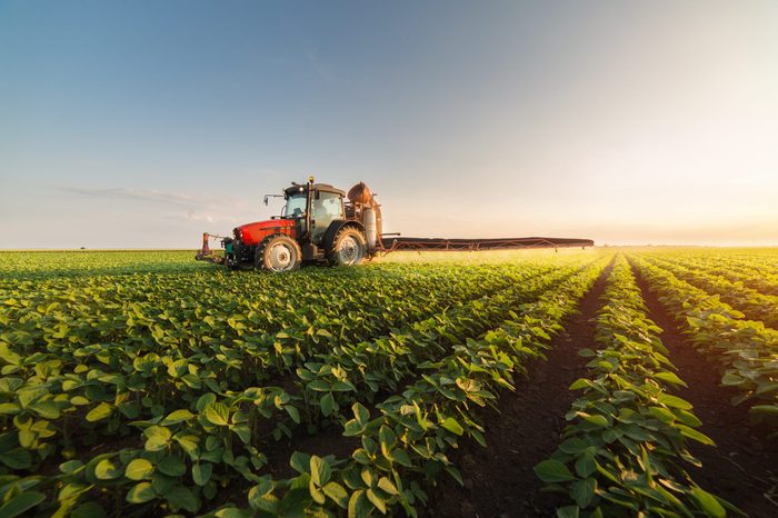 Tractor spraying pesticides on soybean field with sprayer at spring