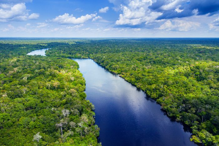 Amazon rainforest in Brazil