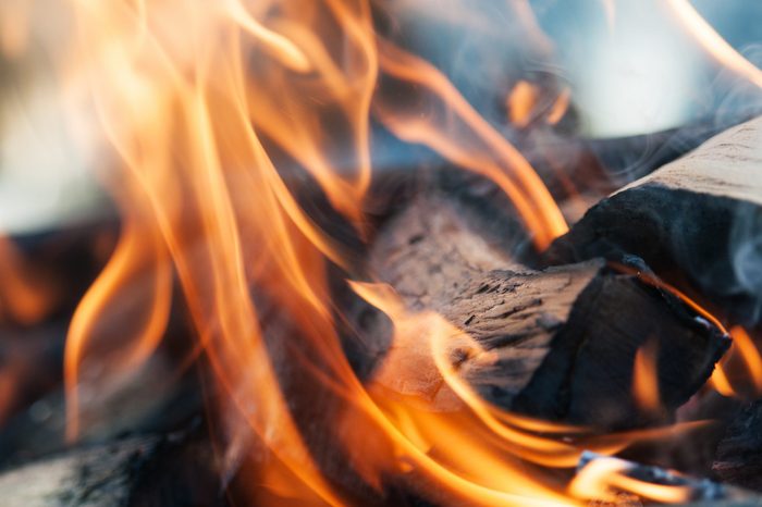 warm fireplace with lots of trees ready for barbecue