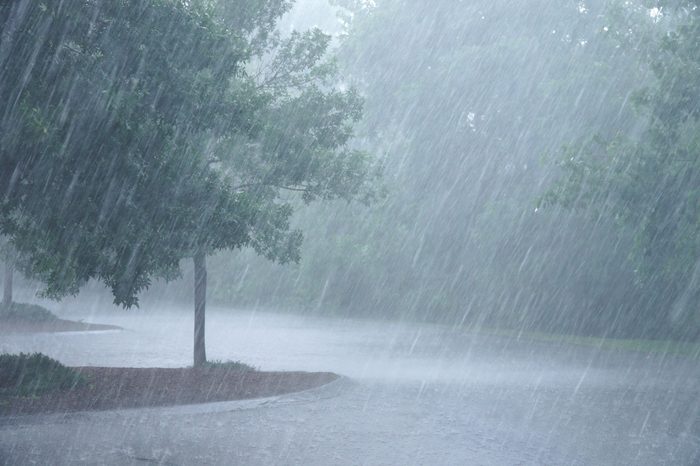 heavy rain and tree in the parking lot