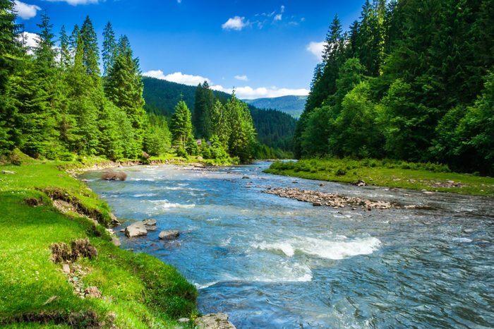 landscape with mountains, forest and a river in front. beautiful scenery