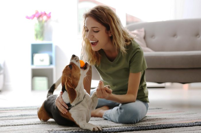 Young woman playing with her dog at home