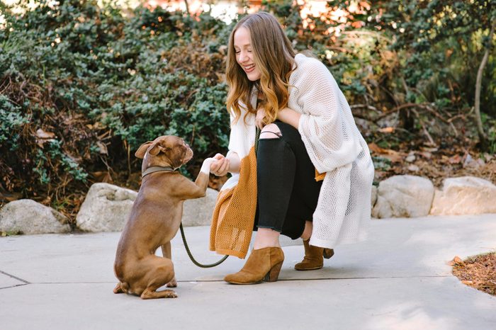 A pet Boston Terrier performs a handshake dog trick with young white female owner