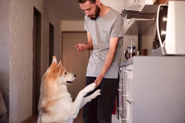 young hipster man bonding with his pet dog with tricks and treats, shake paw