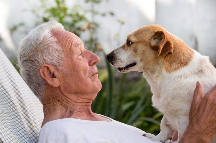 Old man resting in garden and cute dog climb on his chest and kissing him. Pet love concept