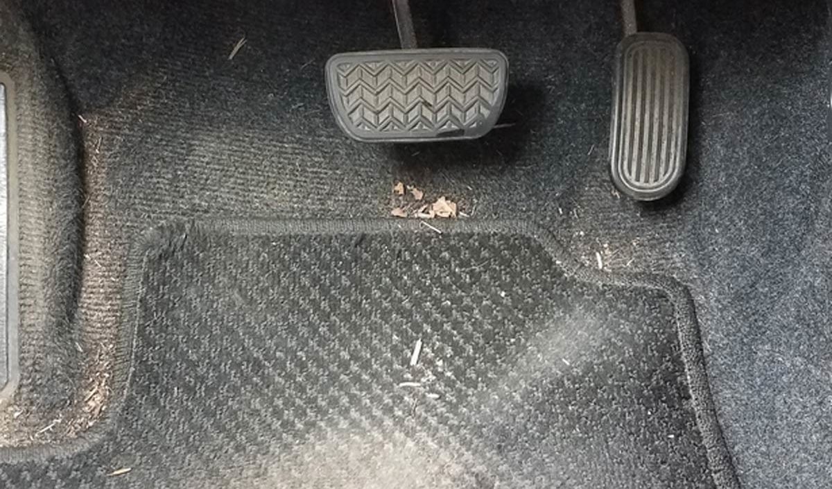 The Best Way to Get Sand Out of Your Car