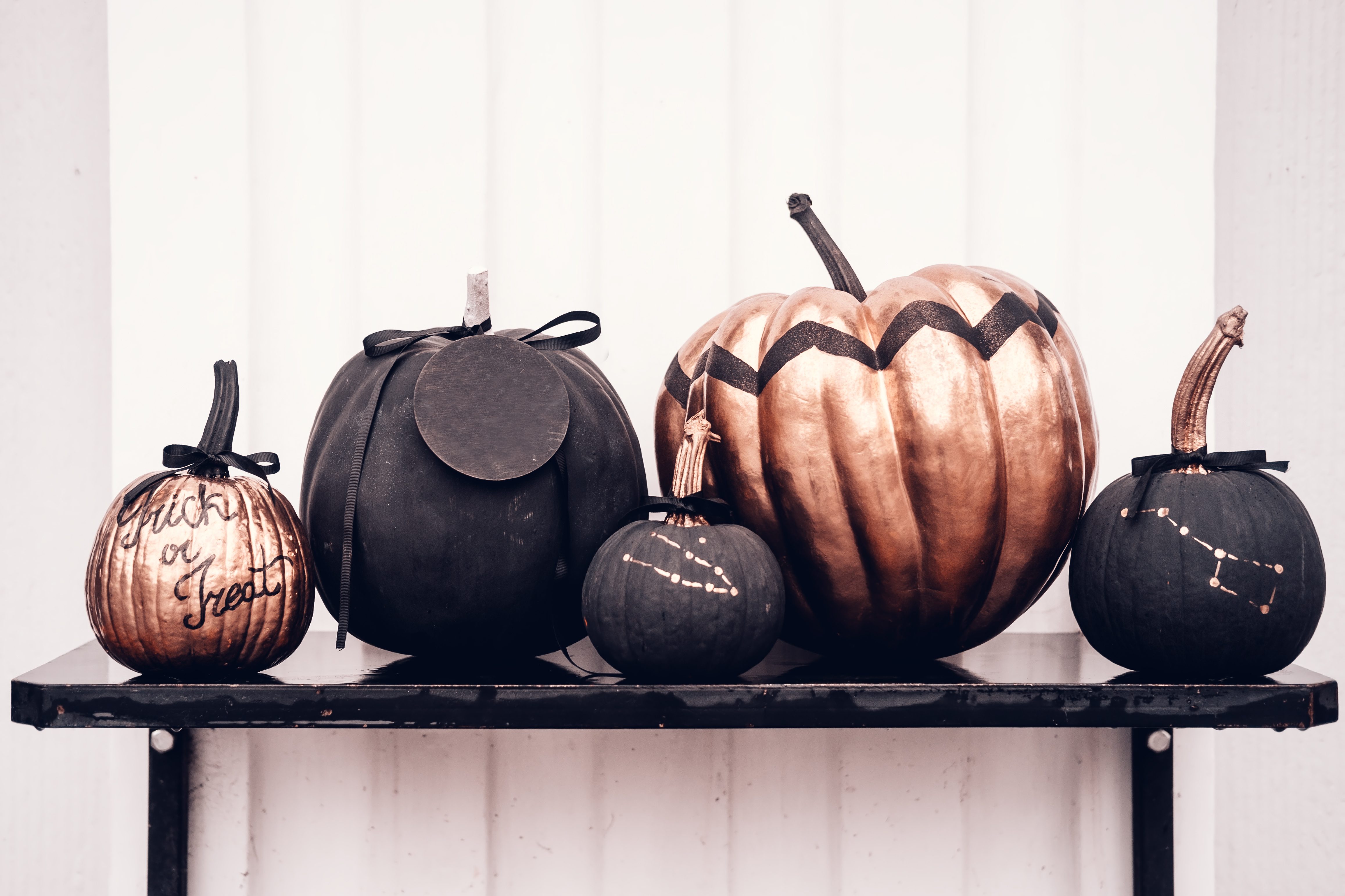 Black and rose cold colored pumpkins against white wall. Copy space