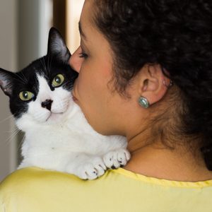 Close up of woman with curly hair holding and kissing her domestic black and white kitten with green eyes on the shoulder. Concept of love to animals, pets, lifestyle, care. Room interior, at home.