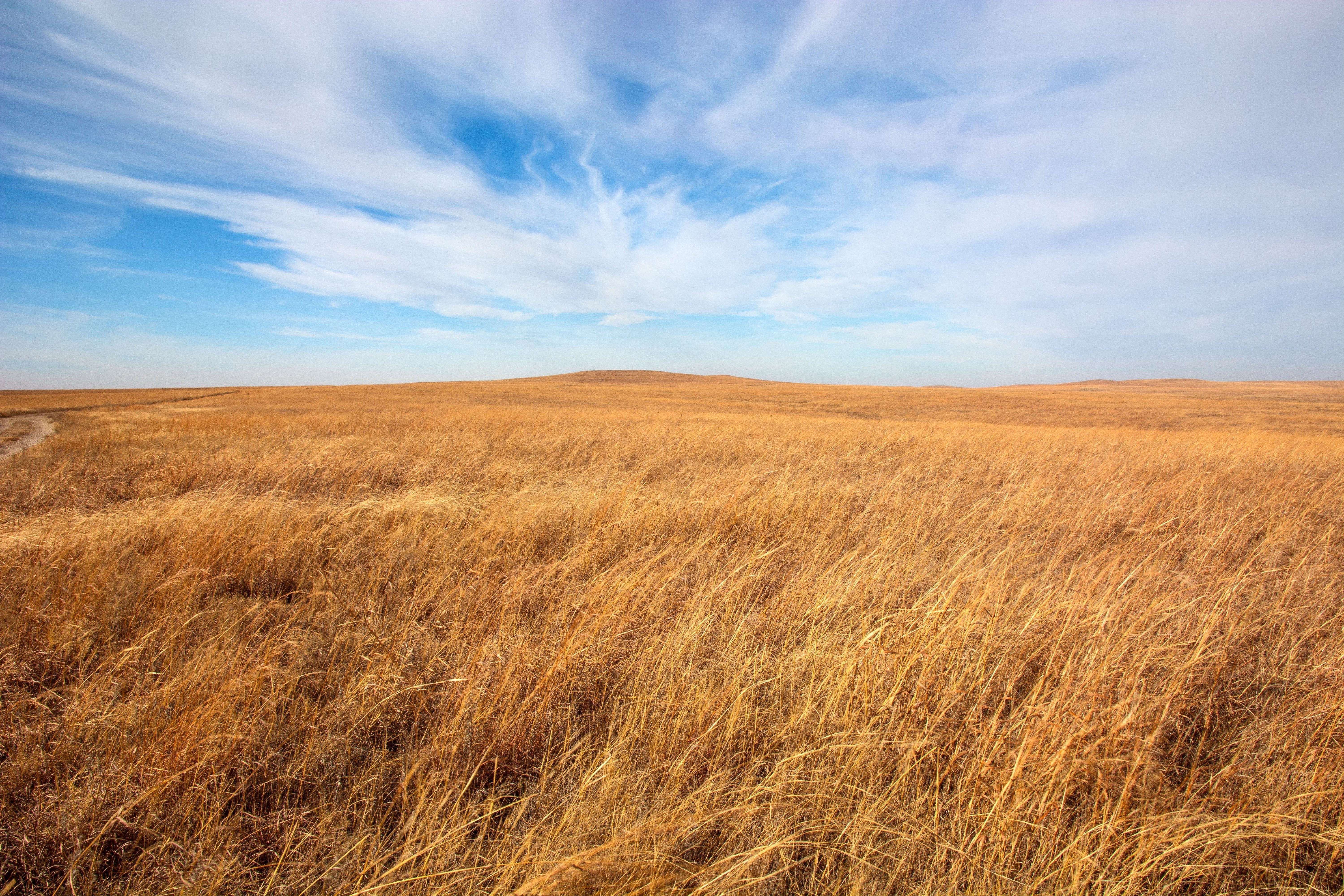 Flint Hills tallgrass prairie in Kansas.