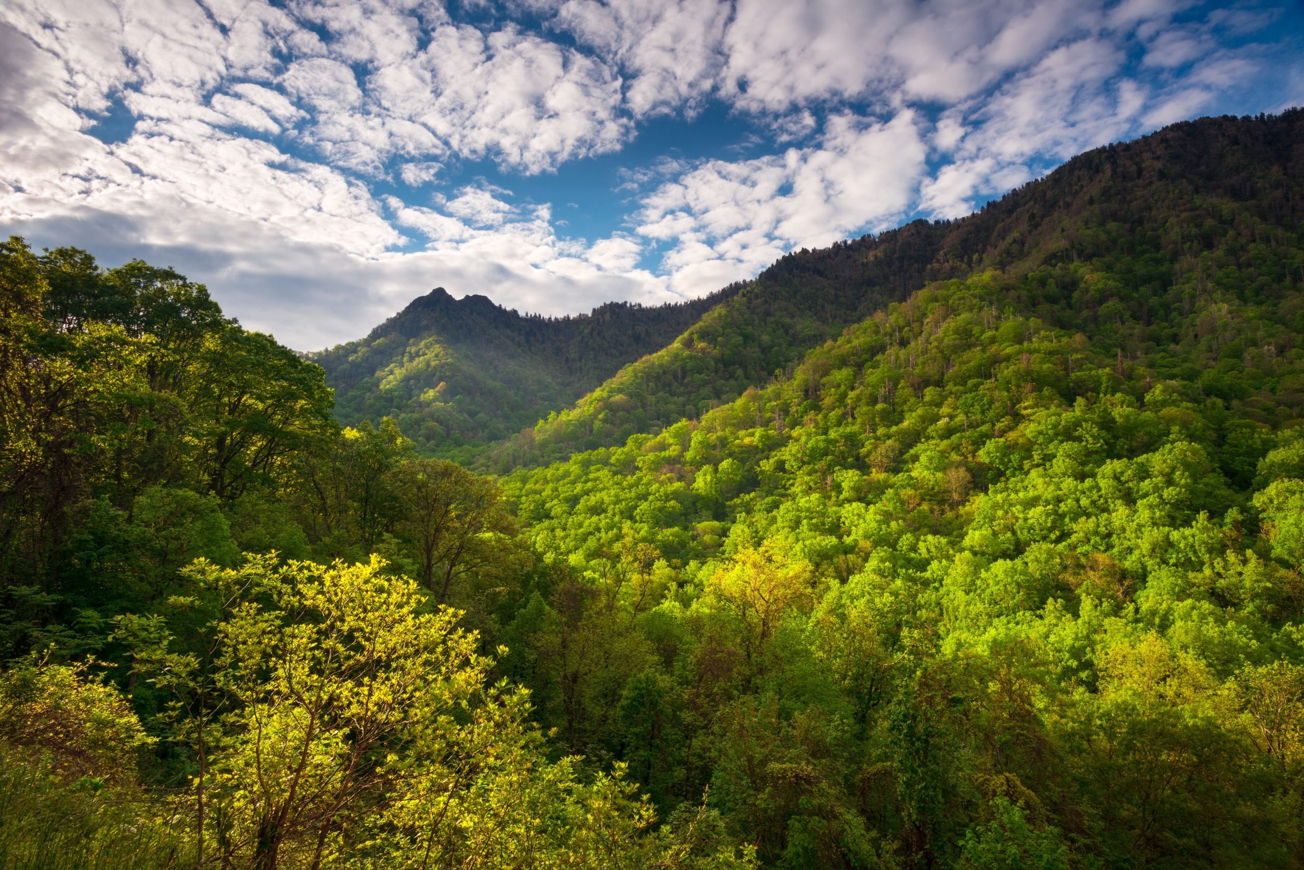 Great Smoky Mountains National Park Scenic Landscape Photography Gatlinburg TN featuring morning light skipping across popular hiking area The Chimneys