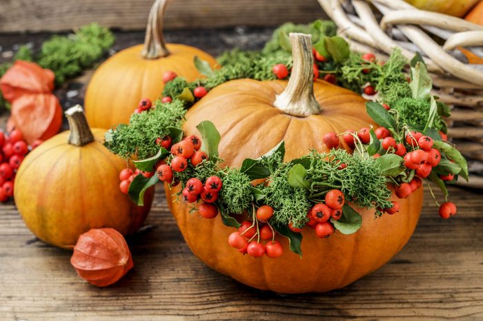 Pumpkin decorated with wreath with red berries (cotoneaster horizontalis) and green moss.