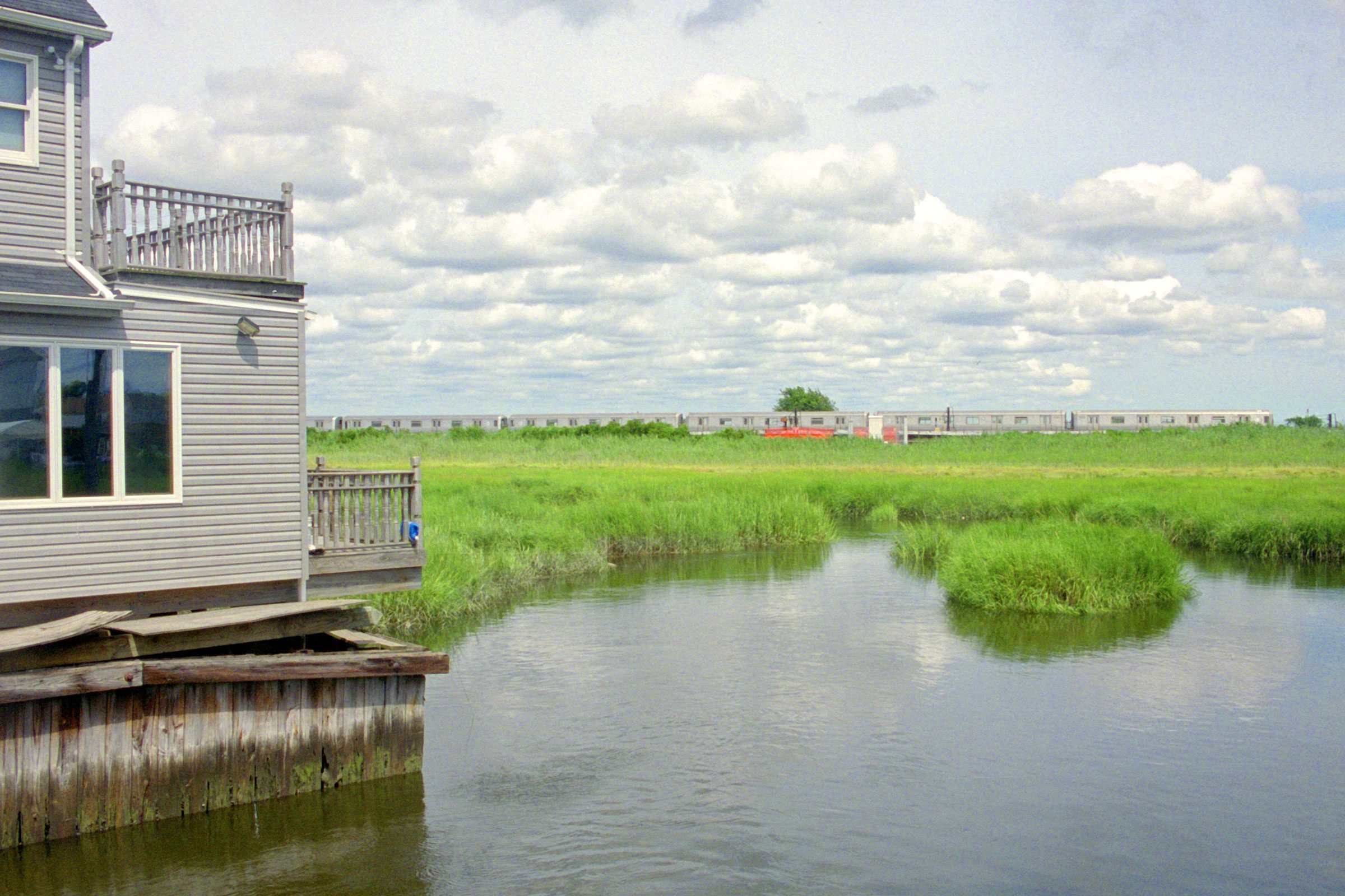 JAmaica Bay Wildlife Refuge
