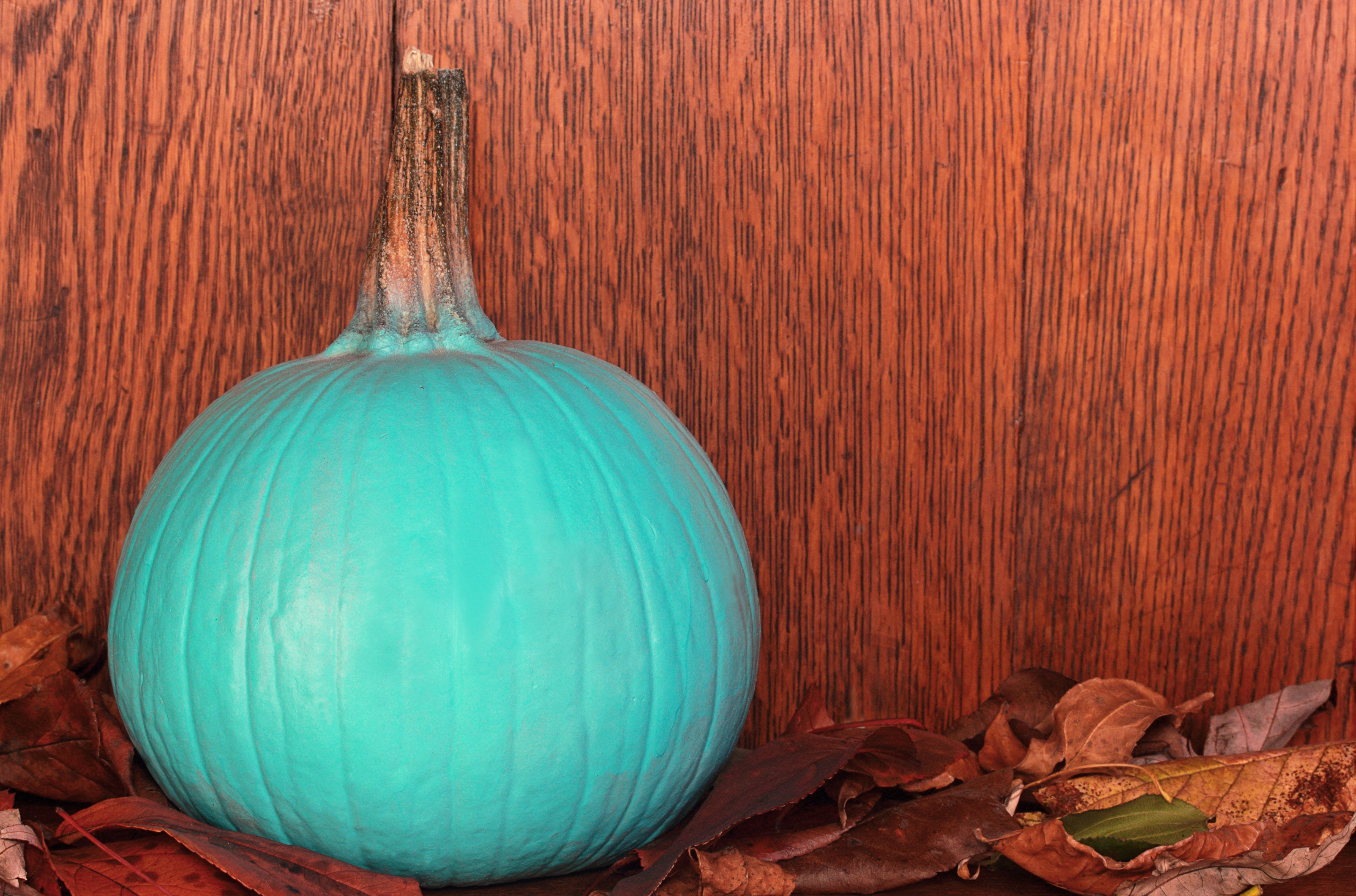 Teal pumpkin, raising awareness for food allergies for Halloween, signifying non-food treats are available