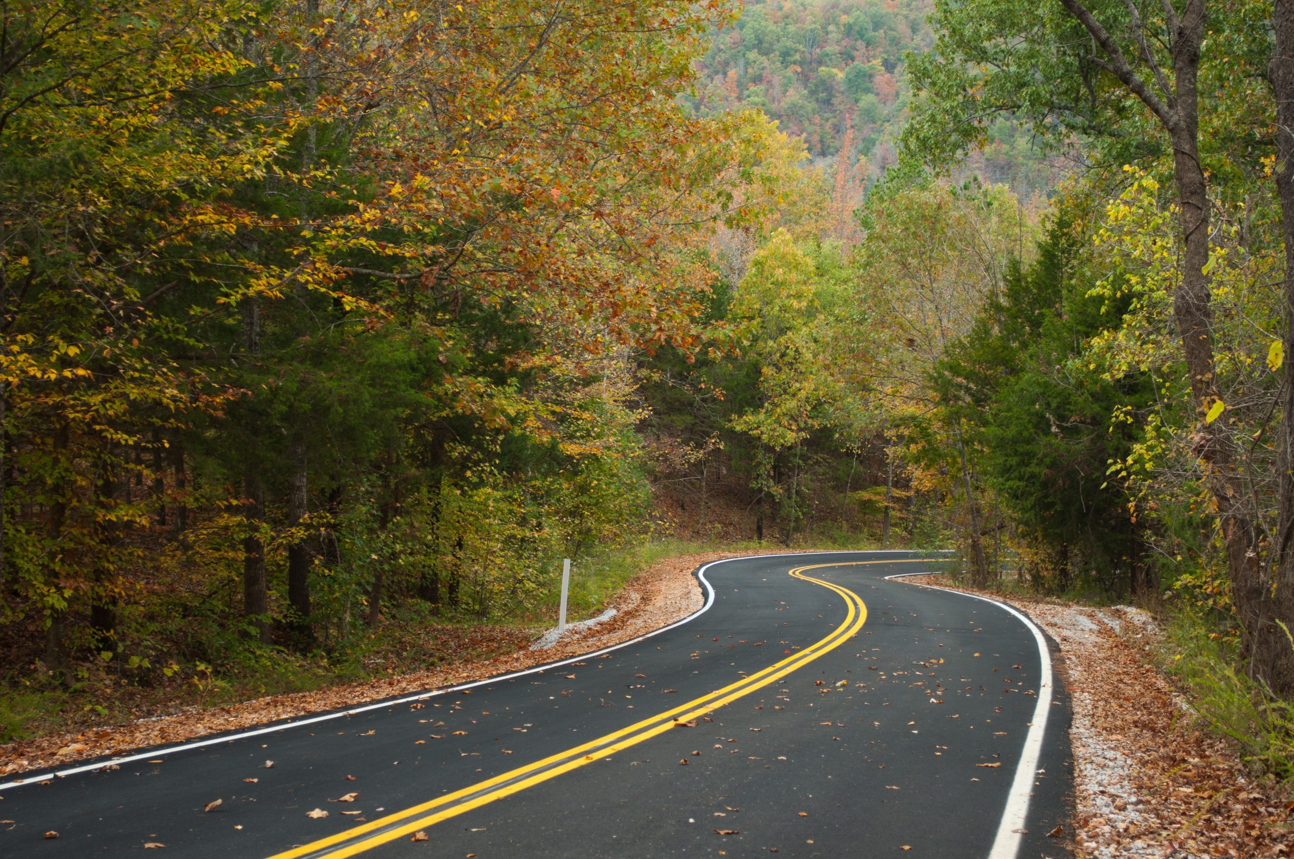 The Ozark Mountain side in fall.